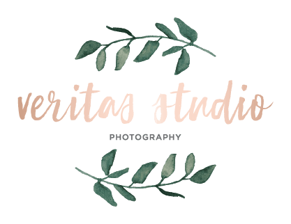 Veritas Studio